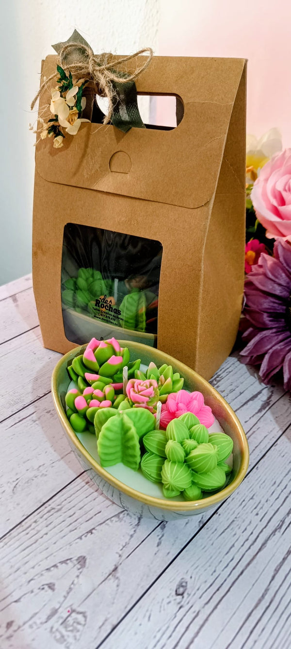 Vela cactus