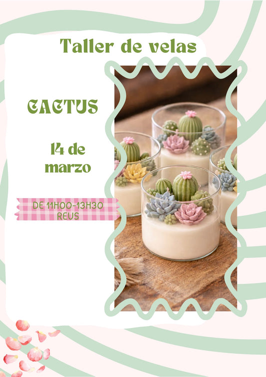 Taller velas de Cactus